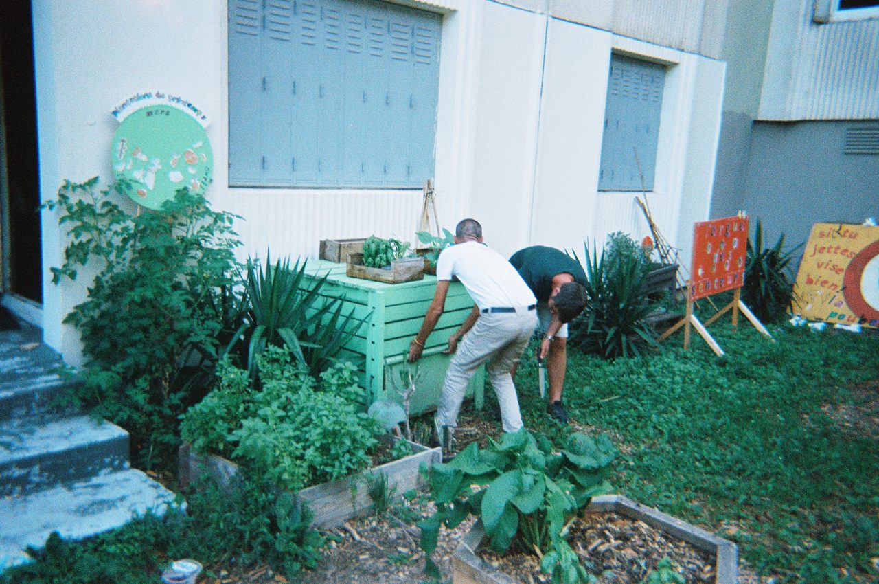 le paysan urbain